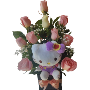 Box hello kitty