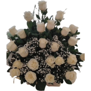 Arrimo Rosas