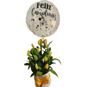 Box tulipanes