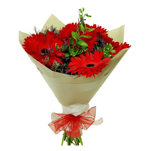 Ramo 8 gerberas